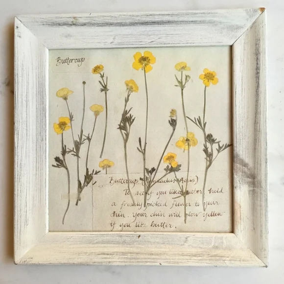 Vintage French framed Buttercup Flower Art - Picture 7 of 7